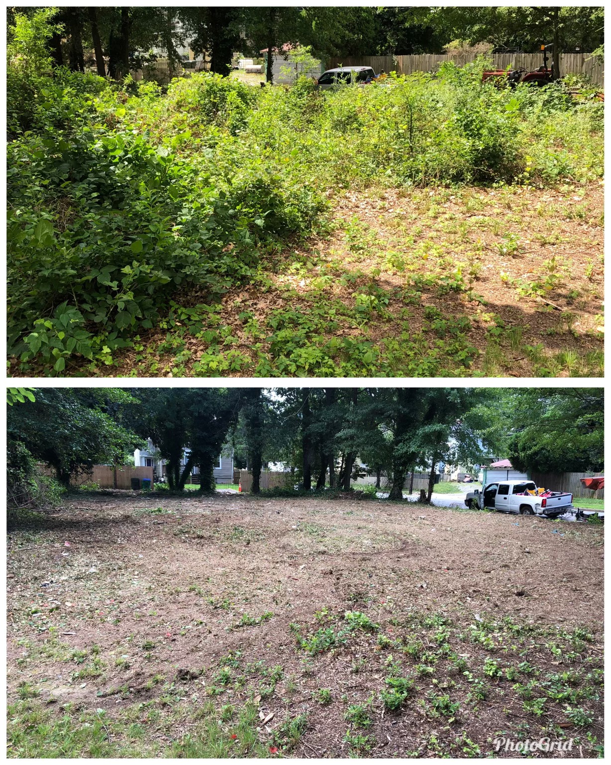 Before and After Brush Clearing