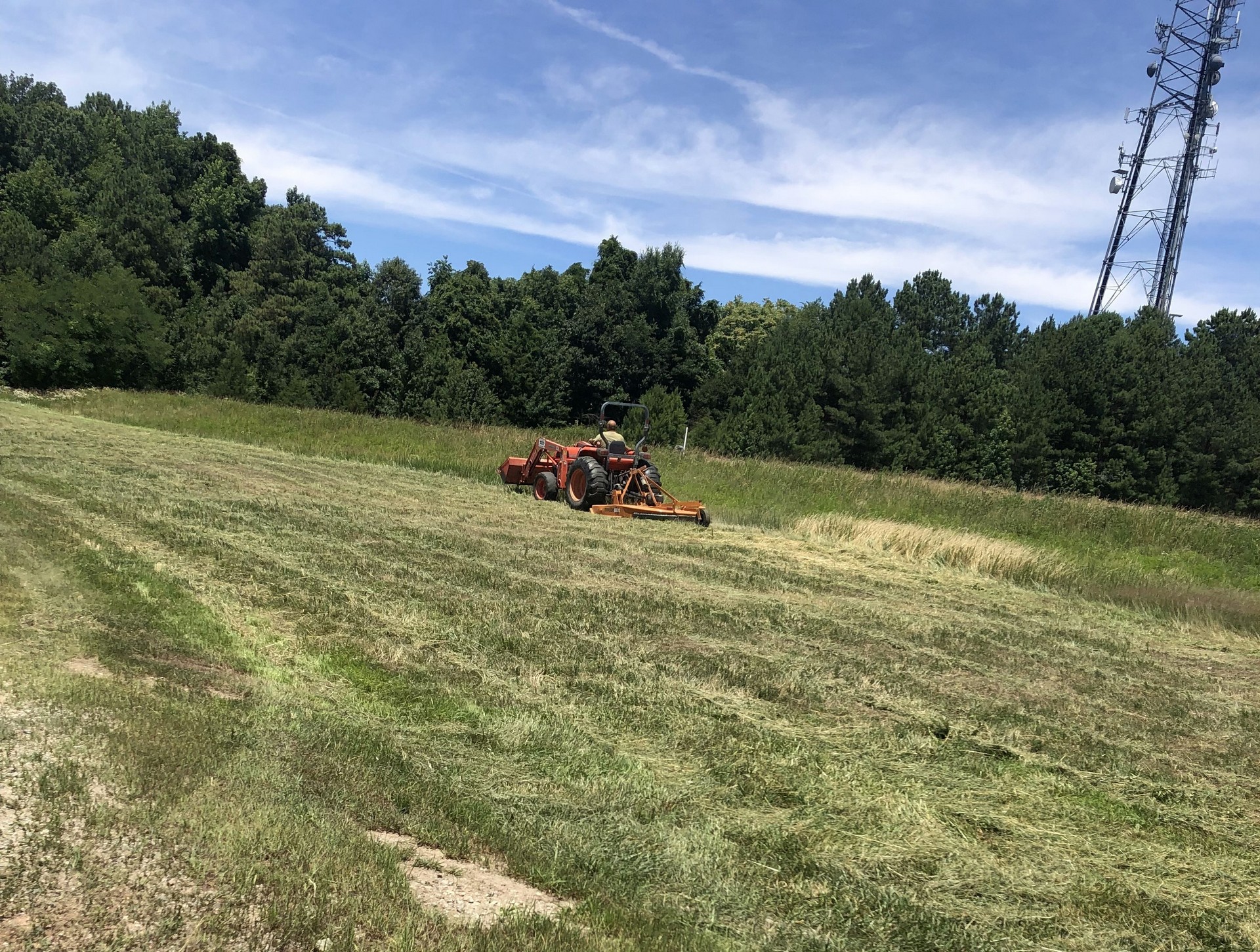 Bush Hog Brush Removal